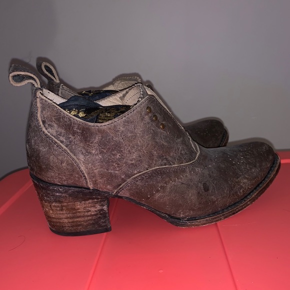 freebird shoes steve madden